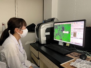 蛍光顕微鏡で観察している様子