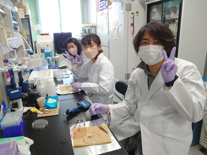 研究の皆さんと