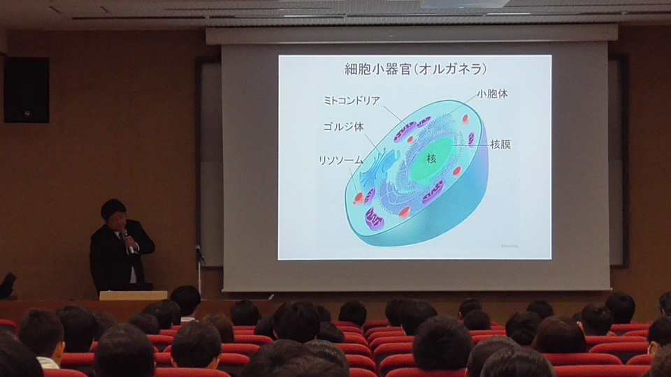 森下教授による研究内容紹介